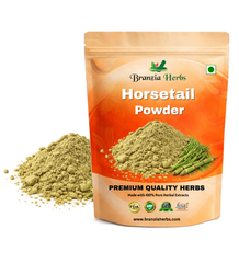Horsetail (Shavegrass) Powder - Branzia Herbs