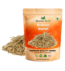Braham Dandi - Brahm Dandi - Barham Dandi - Tricholepis Angustifolia Seed - Branzia Herbs