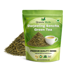 Darjeeling Sencha Green Tea 2023 – Premium Series