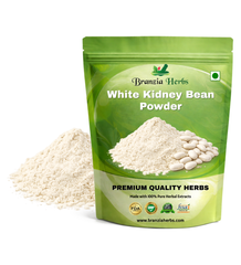 White Kidney Bean Extract Powder - Branzia Herbs