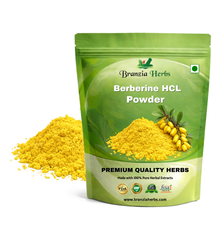 Berberine HCL Extract Powder - Branzia Herbs