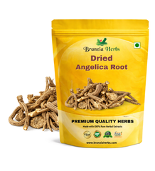Dried Angelica Root - Branzia Herbs