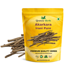 Akarkara Irani Pure | Longwort | Anacyclus pyrethrum - Branzia Herbs