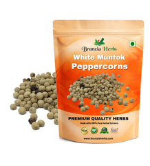 White Muntok Peppercorns Wholesale white papper Branzia Herbs