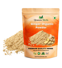 Ginger Powder Organic Wholesale - Branzia Herbs