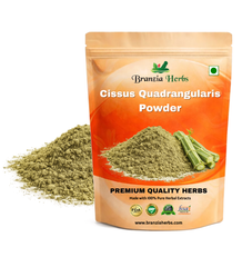Cissus Quadrangularis Extract, Powder - Branzia Herbs
