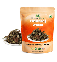 Hansraj - pershosha - adiantum capillus veneris-Raw - Branzia Herbs