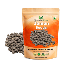 Jamun Seeds Guthli - Syzygium Cumini - Black Plum - Java Plum - Branzia Herbs