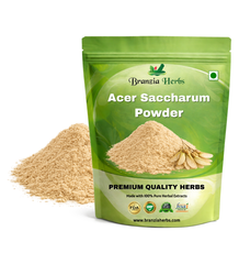 Acer Saccharum Powder - Branzia Herbs