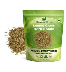 Lemon Grass Herb Seeds Branzia Herbs