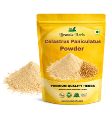 Celastrus Paniculatus  powder - Branzia Herbs