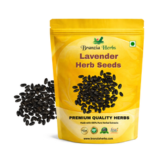 Lavender Herb Seeds Branzia Herbs