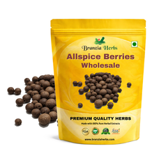 Allspice Berries Wholesale Branzia Herbs