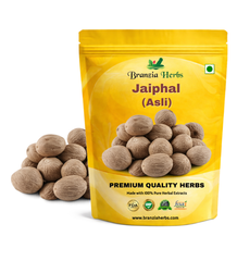 Jaiphal (Asli) - Nutmeg - Jayfal - Jayphal - Jaifal - Myristica Fragrans - Branzia Herbs