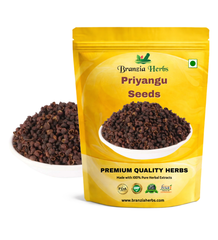 Priyangu Beej, Priyangu Seeds, Callicarpa Macrophylla, Dried Priyangu Seeds - Branzia Herbs