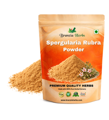 Spergularia Rubra Extract Powder - Branzia Herbs