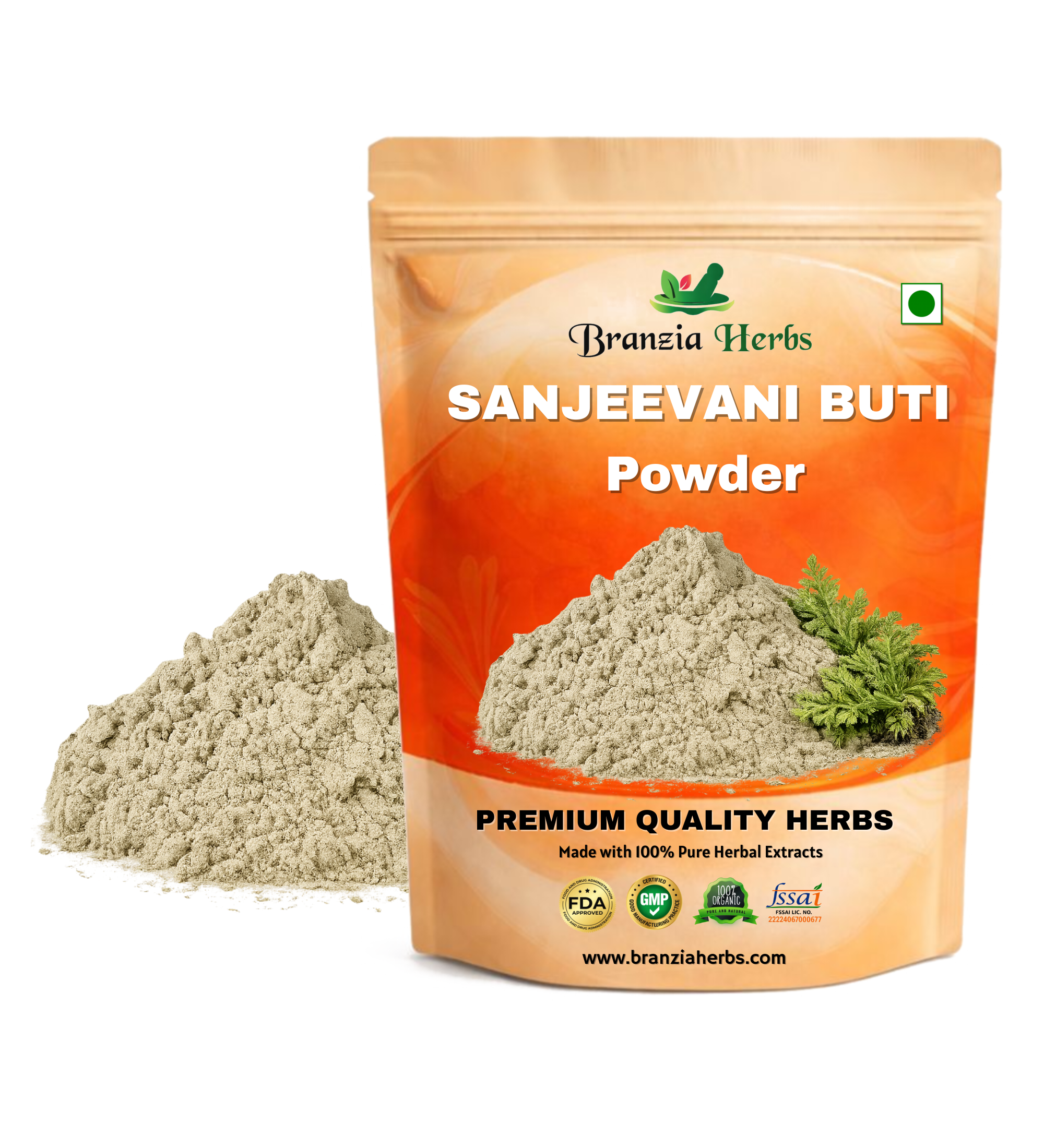 SANJEEVANI BUTI POWDER – LAXMAN BOOTI POWDER – SELAGINELLA BRYOPTERIS - Branzia Herbs
