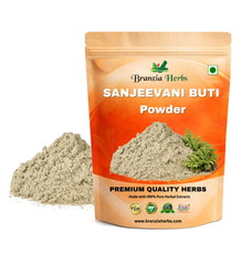 SANJEEVANI BUTI POWDER – LAXMAN BOOTI POWDER – SELAGINELLA BRYOPTERIS - Branzia Herbs