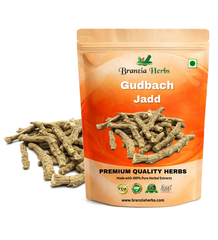 Gudbach Jadd - Sweet Flag Root - Gurbach - Bach - Vach - Acorus Calamus - Branzia Herbs