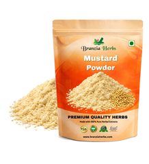 Mustard Powder Yellow Wholesale - Branzia Herbs