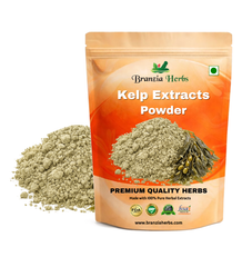 Kelp Extracts POWDER - Branzia Herbs