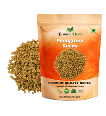 Fenugreek Seeds Wholesale Branzia Herbs