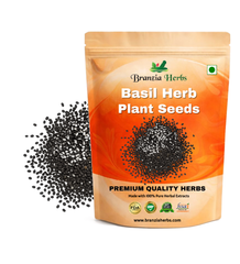 "Basil Herb Plant Seeds Branzia Herbs