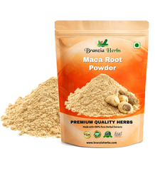 Maca Root Powder - Branzia Herbs