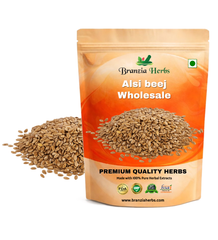 Alsi beej – Flax Seed – Linum usitatissimum Branzia Herbs