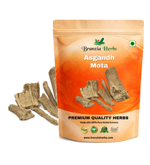 Asgandh Mota | Ashwagandha | Withania Somnifera Dunal - Branzia Herbs