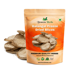 Galangal Freeze Dried Slices Wholesale Branzia Herbs