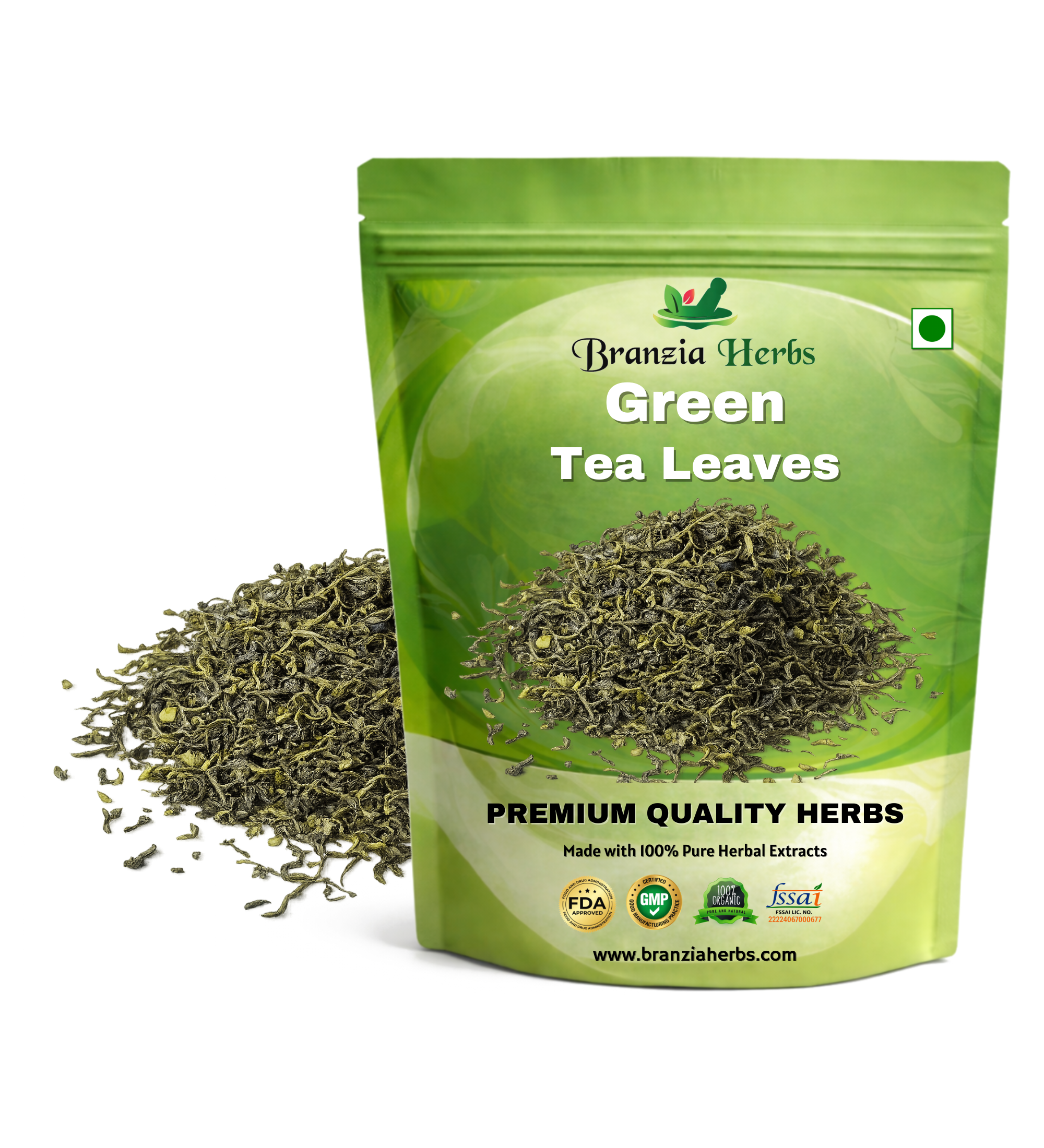 Green Tea Leaves - Camellia sinensis - Branzia Herbs