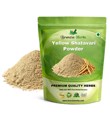 Yellow Shatavari powder Nepali Shatavar churan - Branzia Herbs