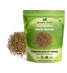 Coriander Dhania F1 Hybrid Seeds | Herb Seeds Branzia Herbs