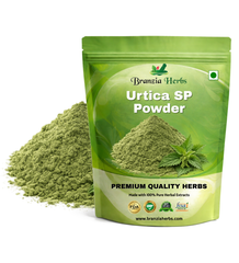 Urtica SP Extract Powder - Branzia Herbs
