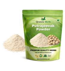 Putrajeevak Powder - Jiya Pota - Putra Jivak- Putranjiva roxburghii