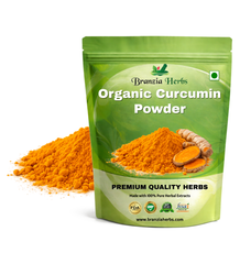 Organic Curcumin Powder - Branzia Herbs
