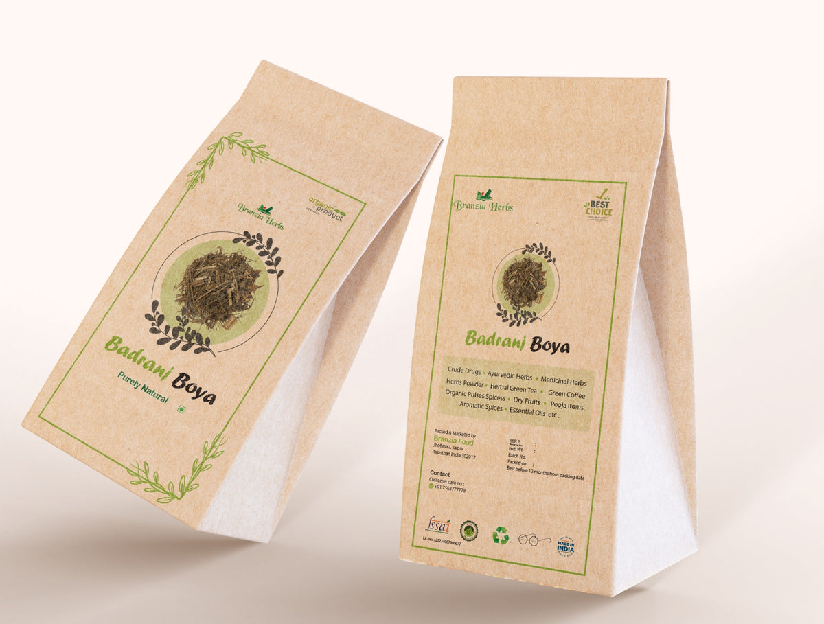 Badranj Boya | Arabian or Gentle Balm | Melissa - Branzia Herbs