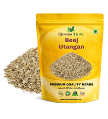 Beej Utangan - Utangan Beej - Blepharis Edulis Pers Branzia Herbs