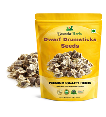 Dwarf Drumsticks Seeds | Chedi Muringa | Moringa Oleifera Branzia Herbs