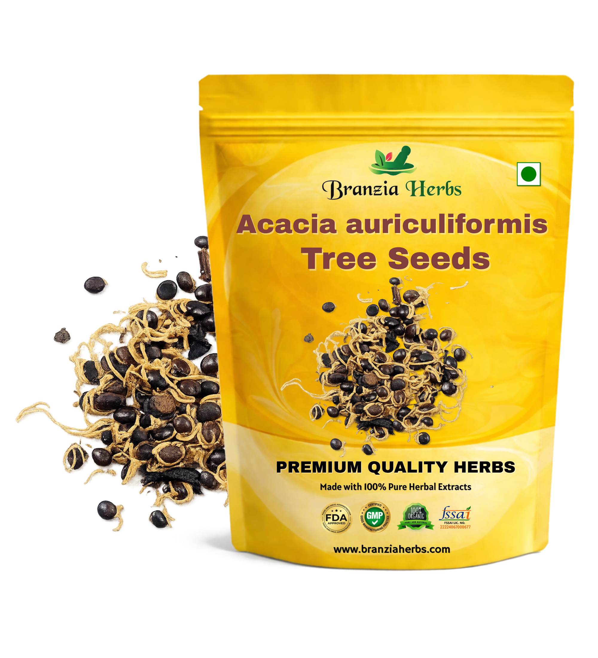 Acacia auriculiformis Tree Seed Seeds - Australian Wattle Tree Seeds - (Acacia auriculiformis Seeds) Branzia Herbs