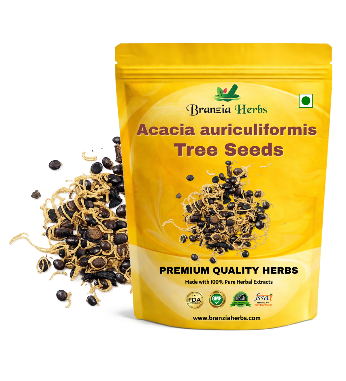 Acacia auriculiformis Tree Seed Seeds - Australian Wattle Tree Seeds - (Acacia auriculiformis Seeds) Branzia Herbs