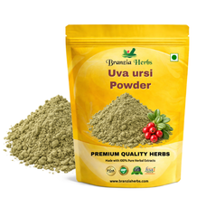 Uva ursi powder - Branzia Herbs
