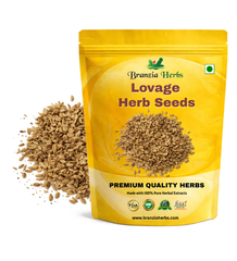 Lovage Herb Seeds Branzia Herbs