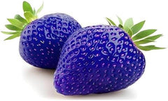 Rare Blue Strawberry Seeds | High Yield Non-GMO Fruit Seeds | Sweet & Juicy Flavor | Home Garden Planting Seeds