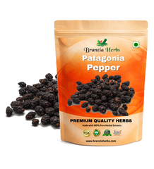 Patagonia (Chilean) Pepper Wholesale Branzia Herbs