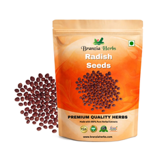 "Radish Mooli Long White | Vegetable Seeds " Branzia Herbs