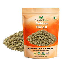 Gokhru Small - Gokharu Chota - Tribulus terrestris - Caltrops - Khar e Khasak - Branzia Herbs