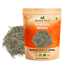 Somlata whole, Gerard Jointfir Ain Khanta, Ephidra Girardiana Soma Gerardiana, Indian natural herb Branzia Herbs