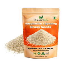Saccharum Lightning Grass Seeds , Lightning Branzia Herbs